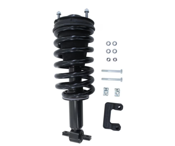 Duralast Gold Strut LS33-80931BG